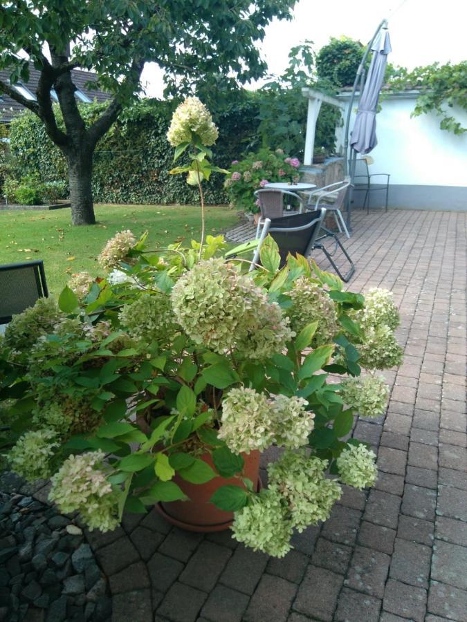 Ferienwohnung Kirschbluete Billigheim-Ingenheim Экстерьер фото