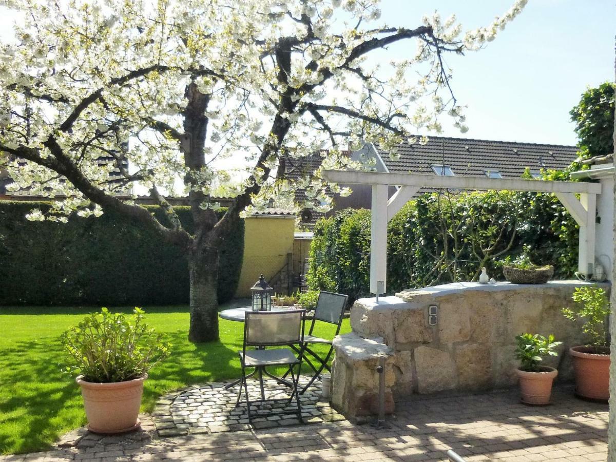 Ferienwohnung Kirschbluete Billigheim-Ingenheim Экстерьер фото