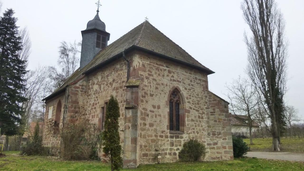 Ferienwohnung Kirschbluete Billigheim-Ingenheim Экстерьер фото