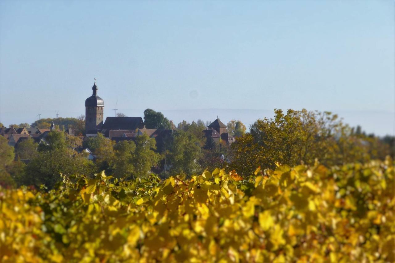 Ferienwohnung Kirschbluete Billigheim-Ingenheim Экстерьер фото